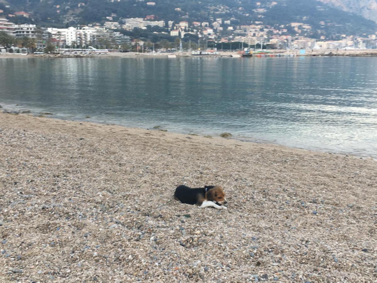 Appartement Maroelvi Menton Kültér fotó